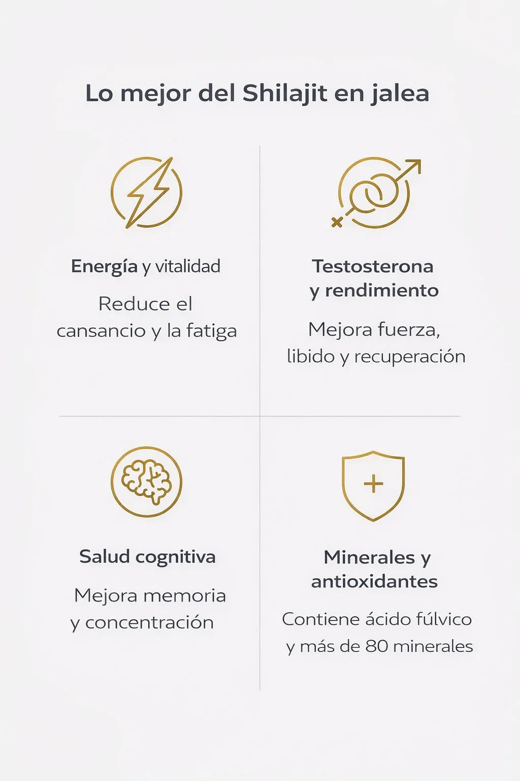 Shilajit Vitamina 100ml Energía